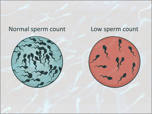 fertility treatments kochi