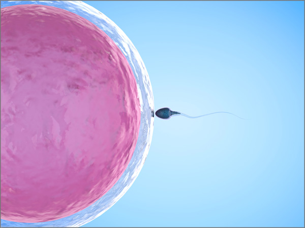 fertility clinic Kochi